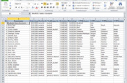 Anzeige und Umformatierung der Daten in Excel