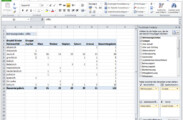 Ausgabe einer angepassten Microsoft Excel Pivot-Tabelle