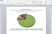 Microsoft Word Dokument mit eingebundene Grafikdatei sowie kopierte Pivot-Tabelle